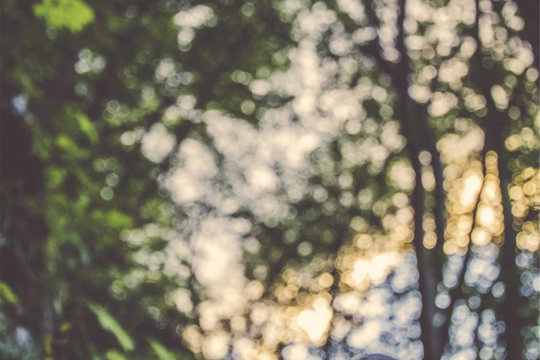 Sint provident nobis quae voluptate quidem